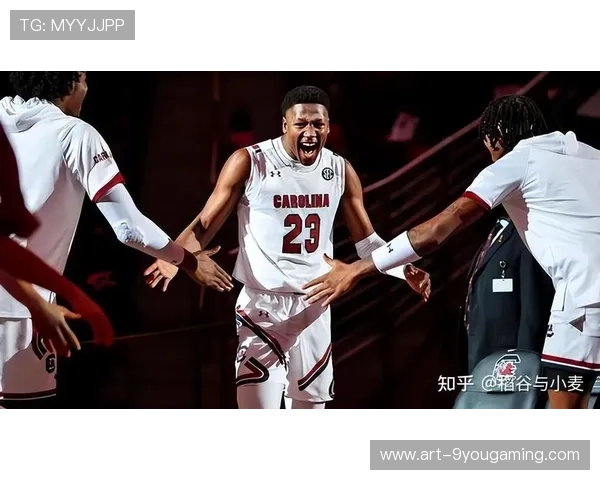 字母哥或成标王：新一代体育传奇的荣耀之路